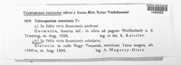 Coleosporium tussilaginis image